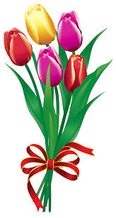  Tulips