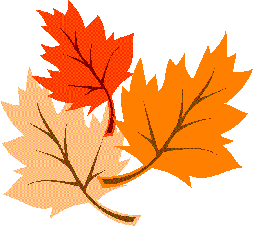  Fall Leaves