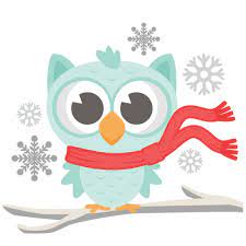  Winter Owl